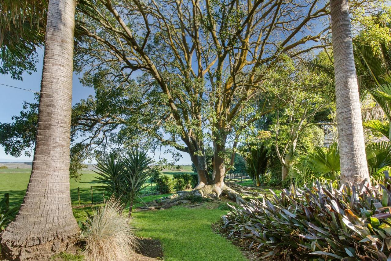 Headlands Estate Leilighet Whanganui Eksteriør bilde
